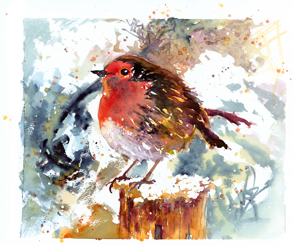 Robin I