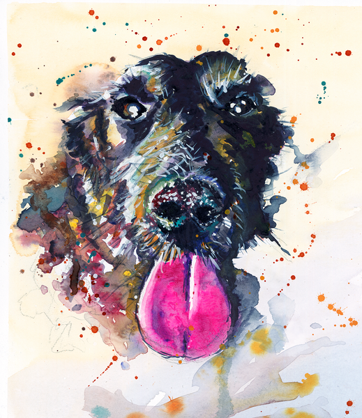 Black Dog Pink Tongue