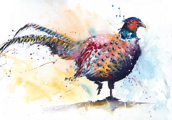 Pheasant