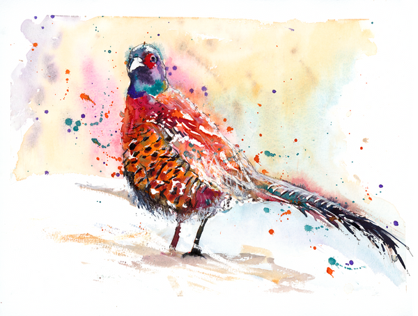 Pheasant 2