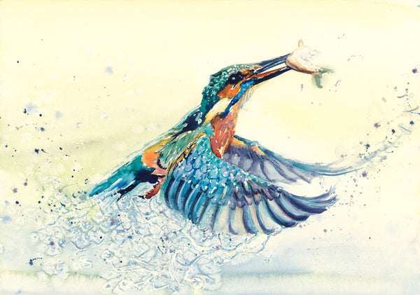 'Water Birds' Variety Notecard Set of 4