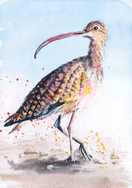 'Water Birds' Variety Notecard Set of 4