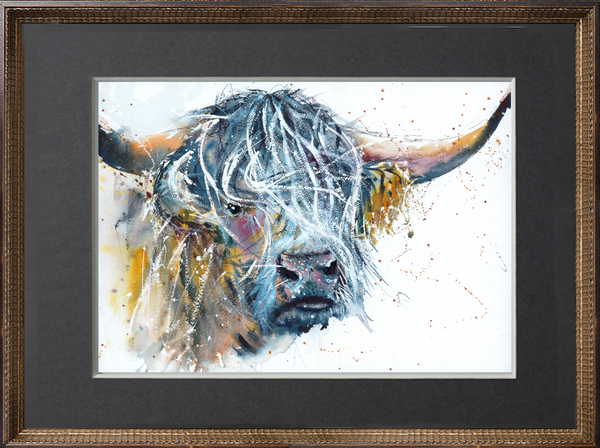 Highland Bull