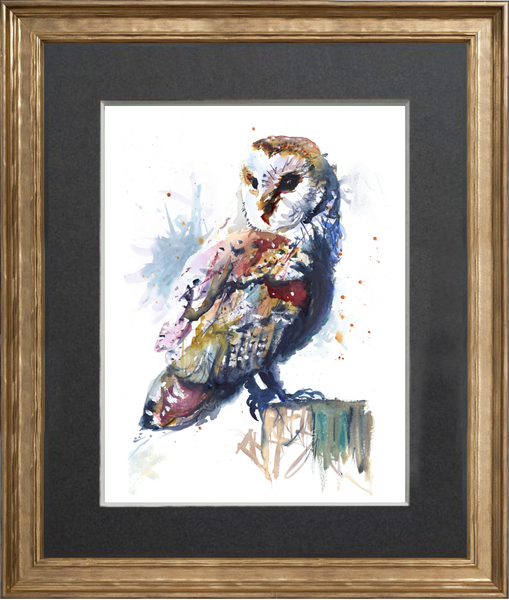 Barn Owl