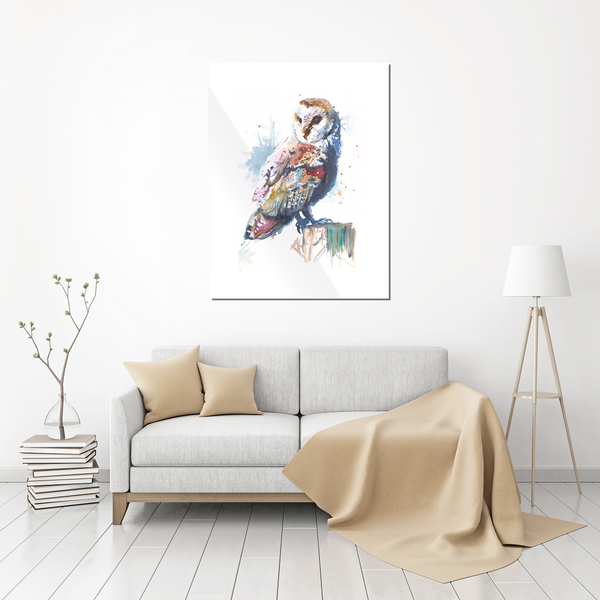 Barn Owl