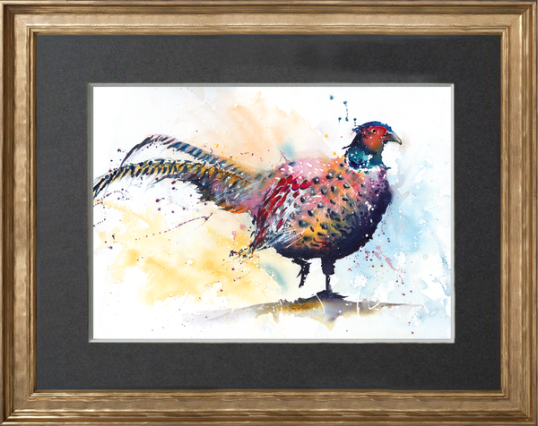 Pheasant
