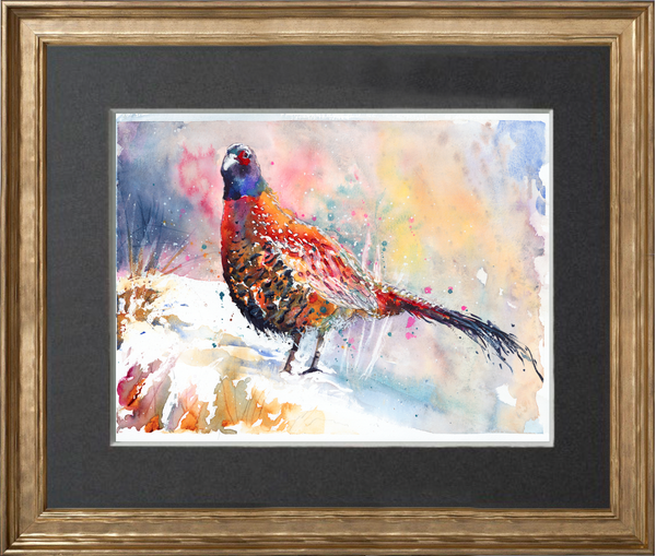 Pheasant 1