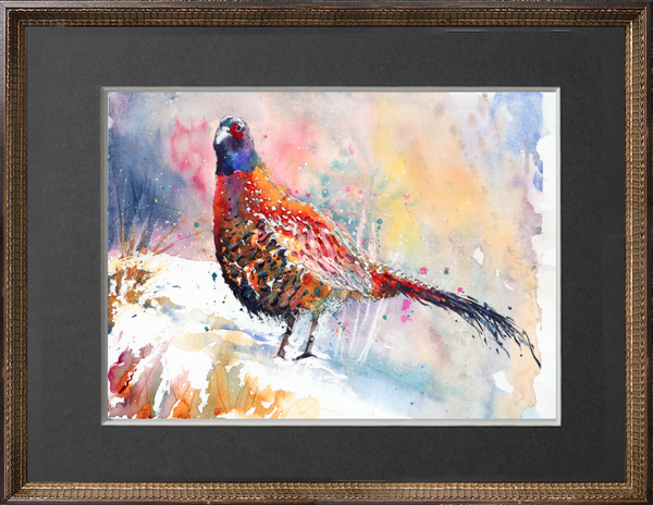 Pheasant 1