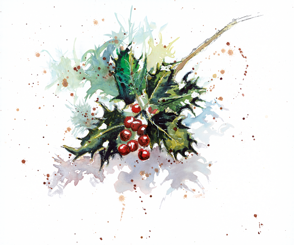 'Holly' Greetings Cards - Pack of 4