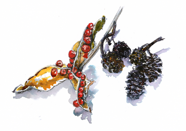 'Gladdon and Alder' Greetings Cards - Pack of 4