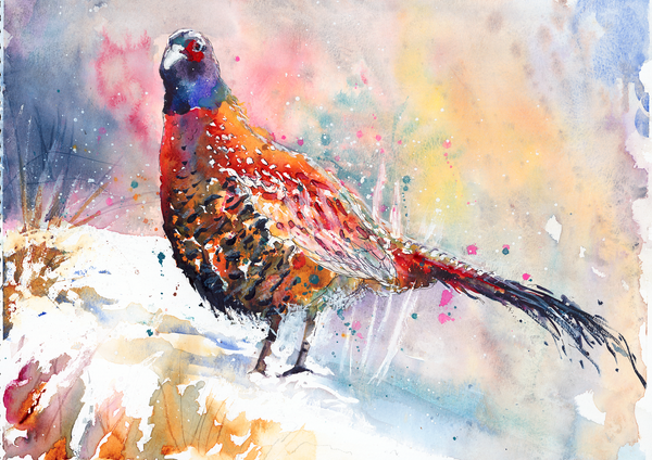 'Pheasant I' Greetings Cards - Pack of 4