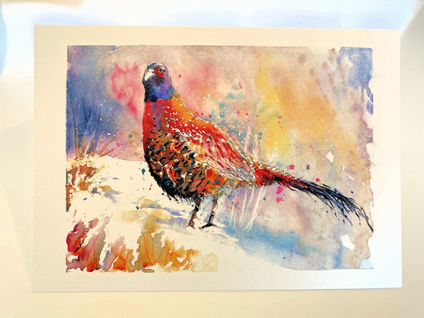 'Pheasant I' Greetings Cards - Pack of 4