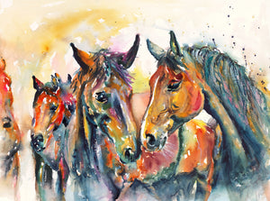 'Horses' Greetings Cards - Pack of 4