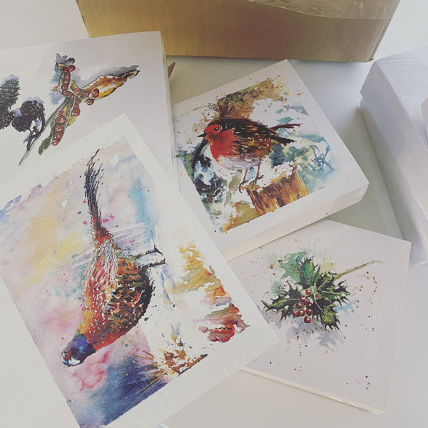 'Robin' Greetings Cards - Pack of 4