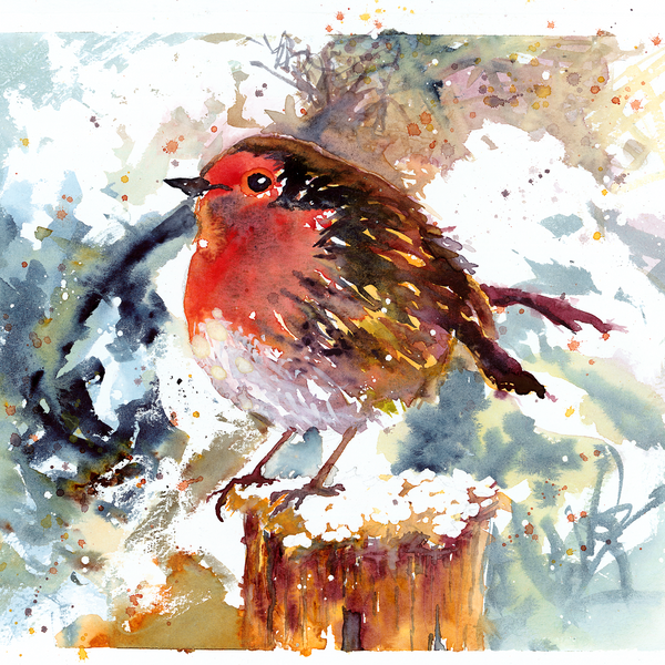 'Robin' Greetings Cards - Pack of 4