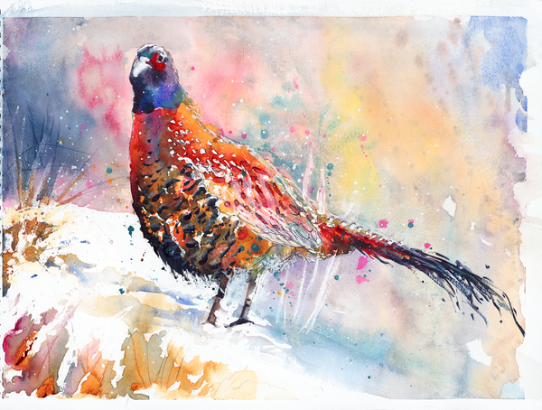 Small Pheasant 1