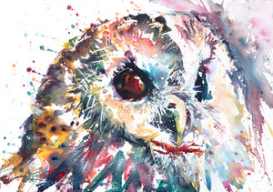 Beady Owl