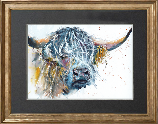 Highland Bull