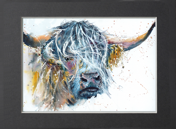 Highland Bull