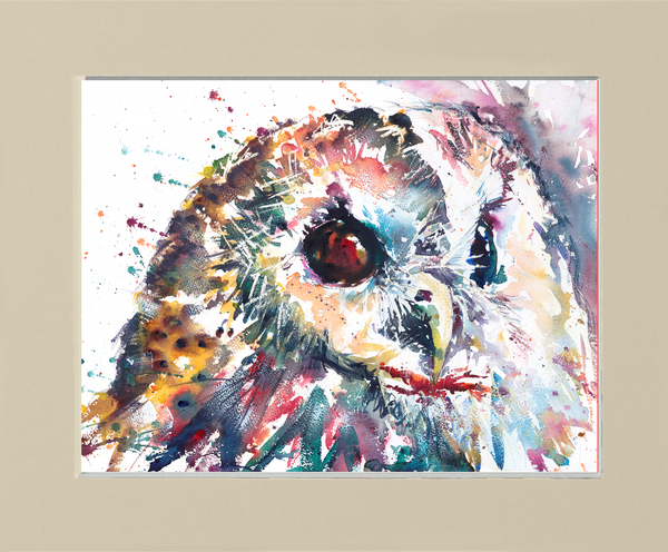 Beady Owl