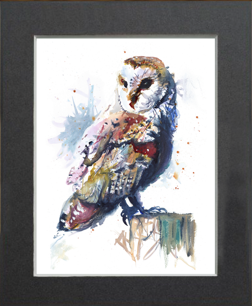 Barn Owl