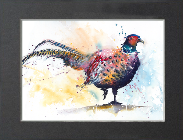Pheasant