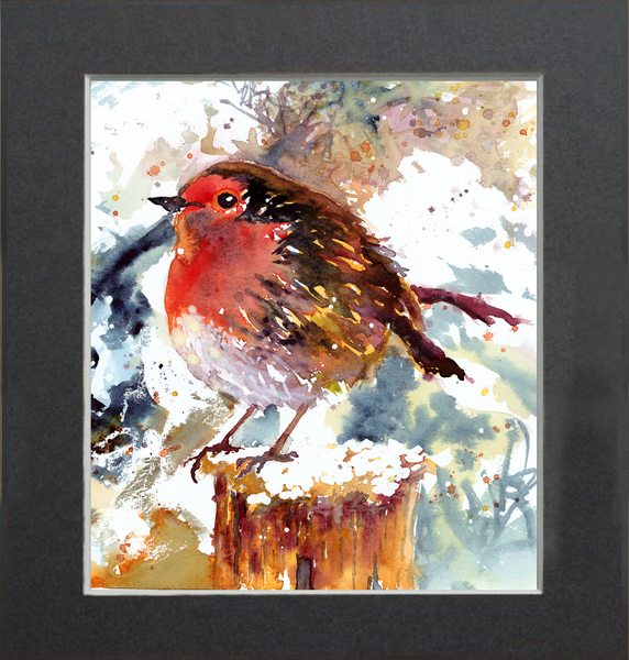 Robin